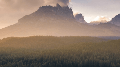 Bedroom - professional stock photography