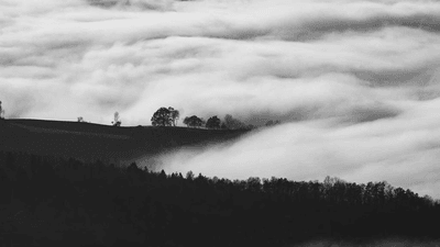 Cushion - professional stock photography