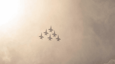 Garden - professional stock photography