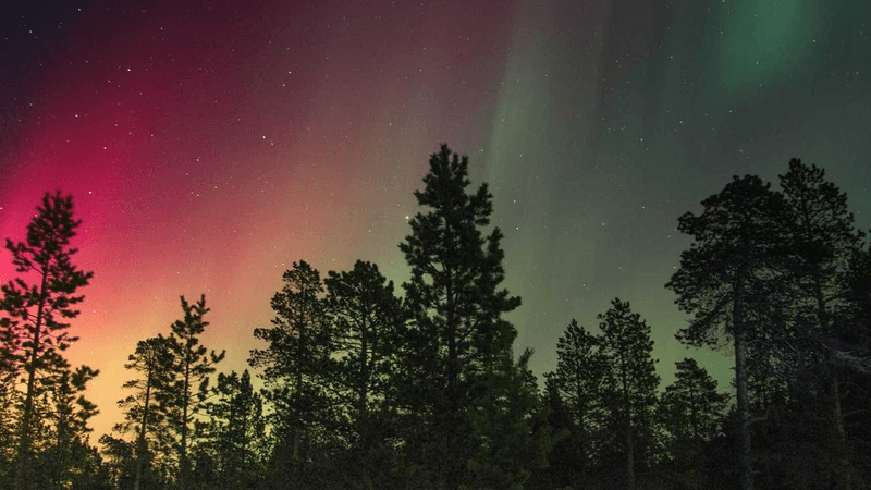 Garden - professional stock photography