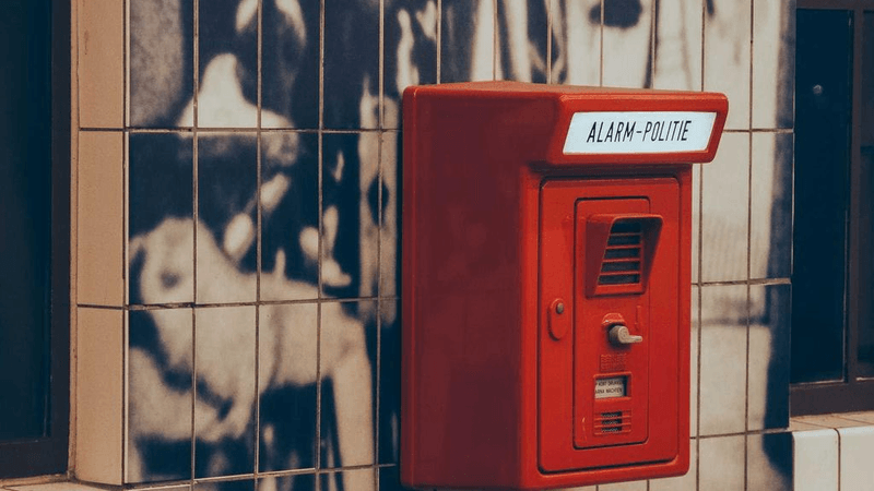 Garden - professional stock photography