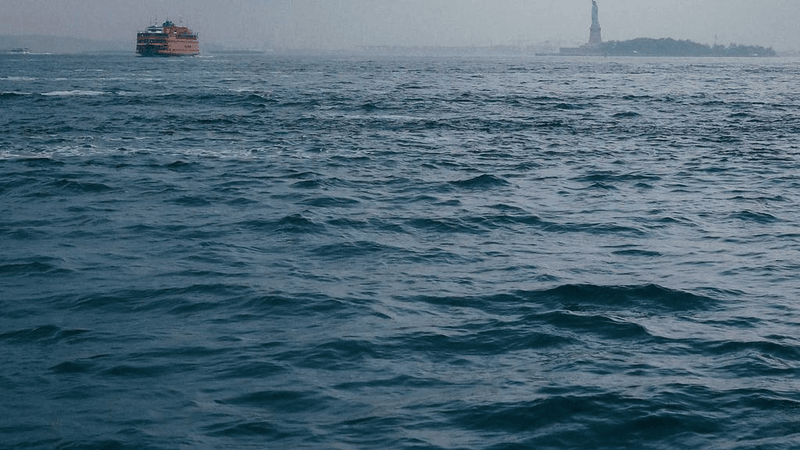 Garden - professional stock photography