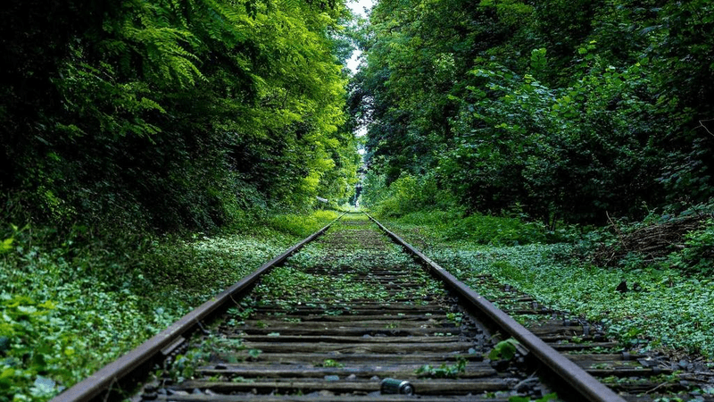 Kitchen Design - professional stock photography