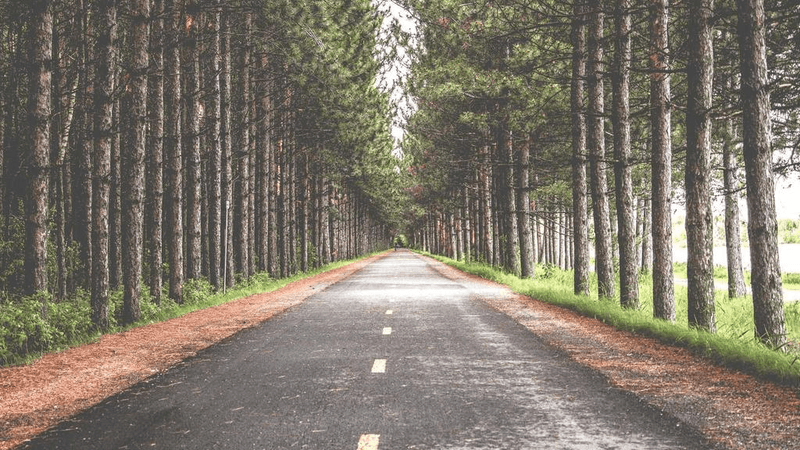 Living Room - professional stock photography