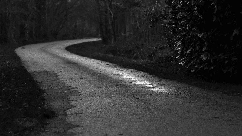 Living Room - professional stock photography