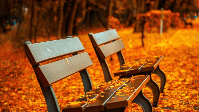 Living Room - professional stock photography