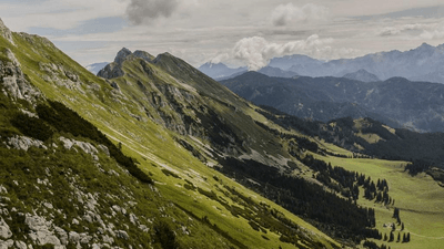 Mirror - professional stock photography