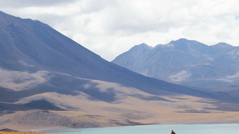 Plants - professional stock photography
