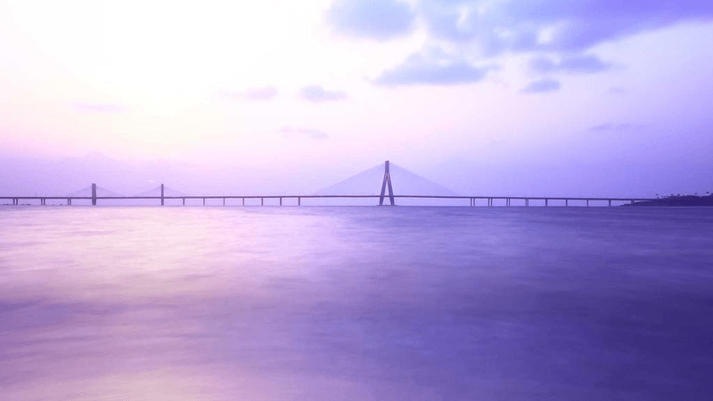 Plants - professional stock photography