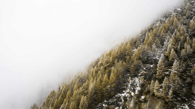 Shelf - professional stock photography