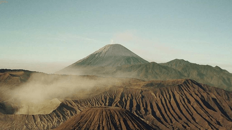 Shelf - professional stock photography