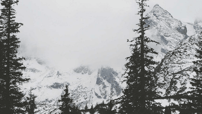 Sofa - professional stock photography