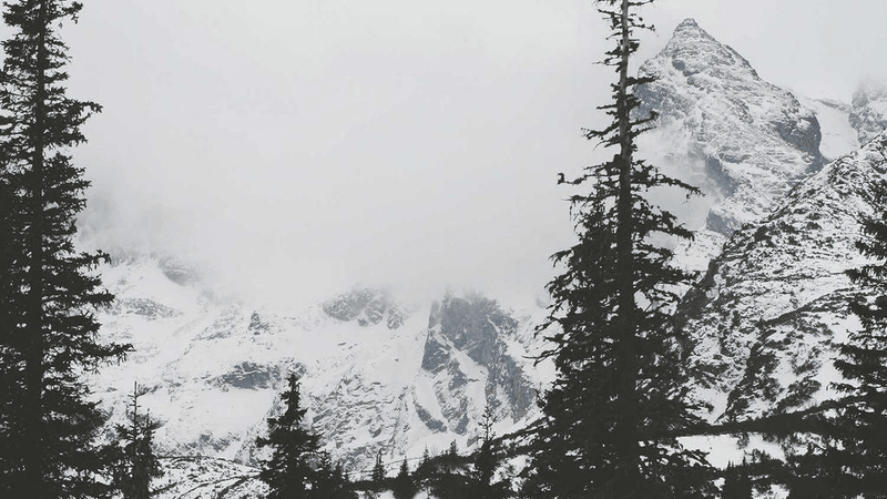Sofa - professional stock photography