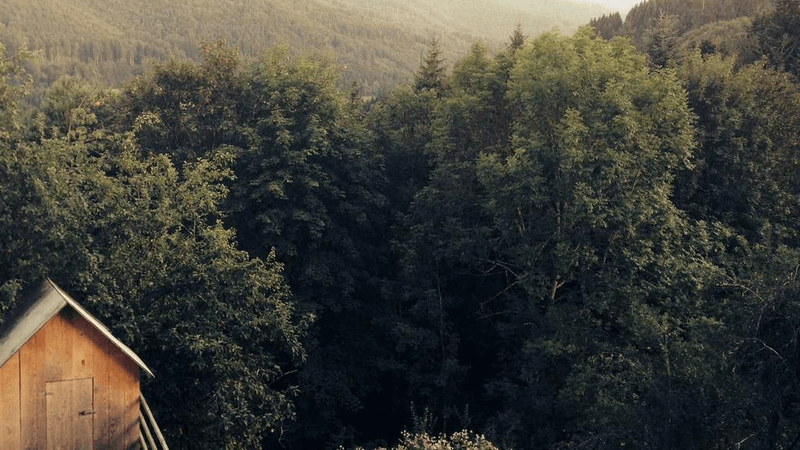 Sofa - professional stock photography