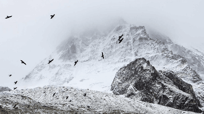 Sofa - professional stock photography