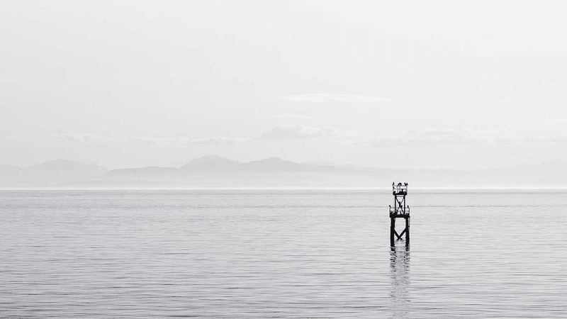 Table - professional stock photography
