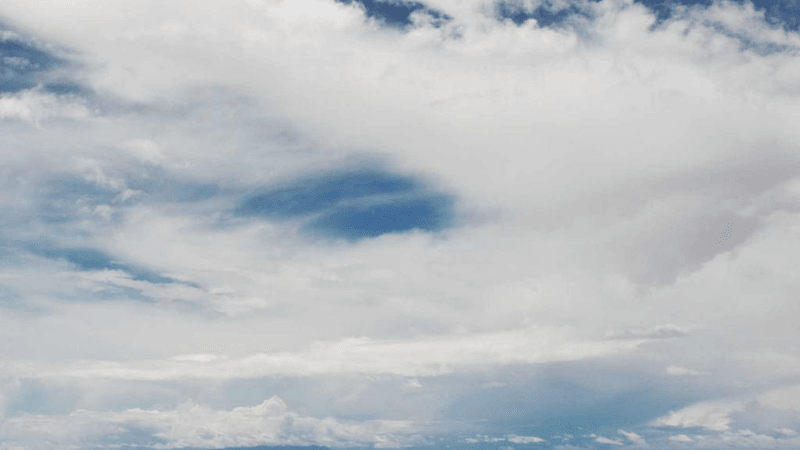 Vase - professional stock photography